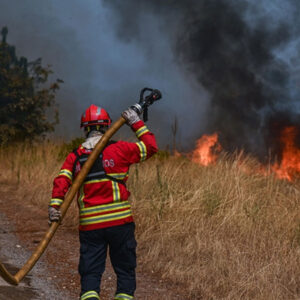 portekiz yanginlarla mucadele ediyor yuzlerce kisi sondurme calismalarinda BhrpWUuA