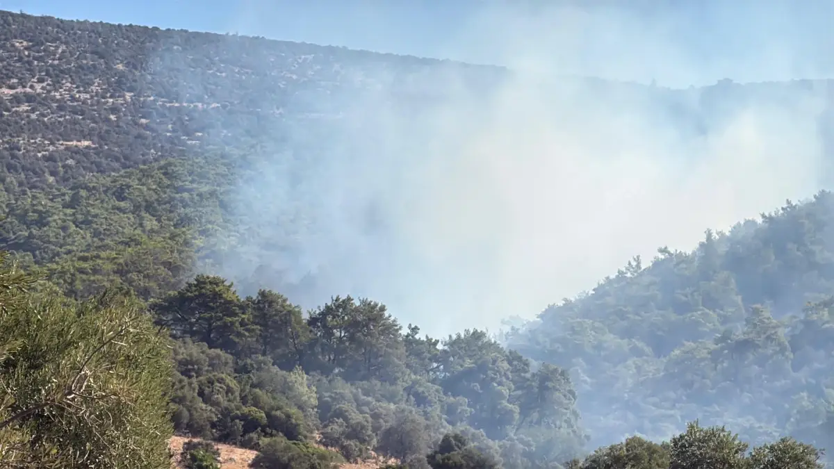 milasta orman yangini cineye sicradi xCHKd5qb