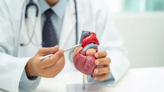 saglikli ve dengeli beslenme kalp damar sagligini koruyor KwdgSzfM