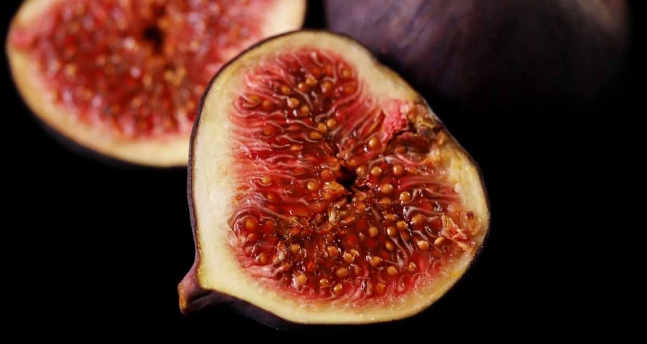 yedigimiz incirlerin icinde gercekten esek arisi var mi bilim merak edilen soruyu yanitladi vTuqky2k