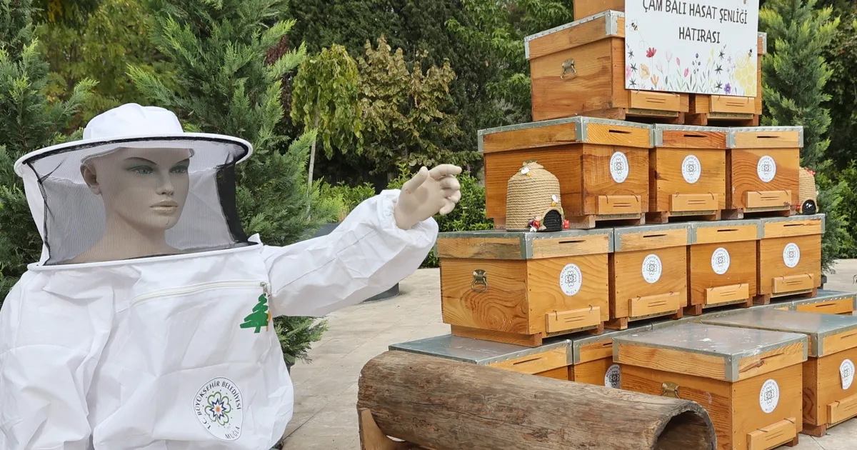 muglada cam bali hasadi coskuyla kutlandi nP9XFNmr.webp