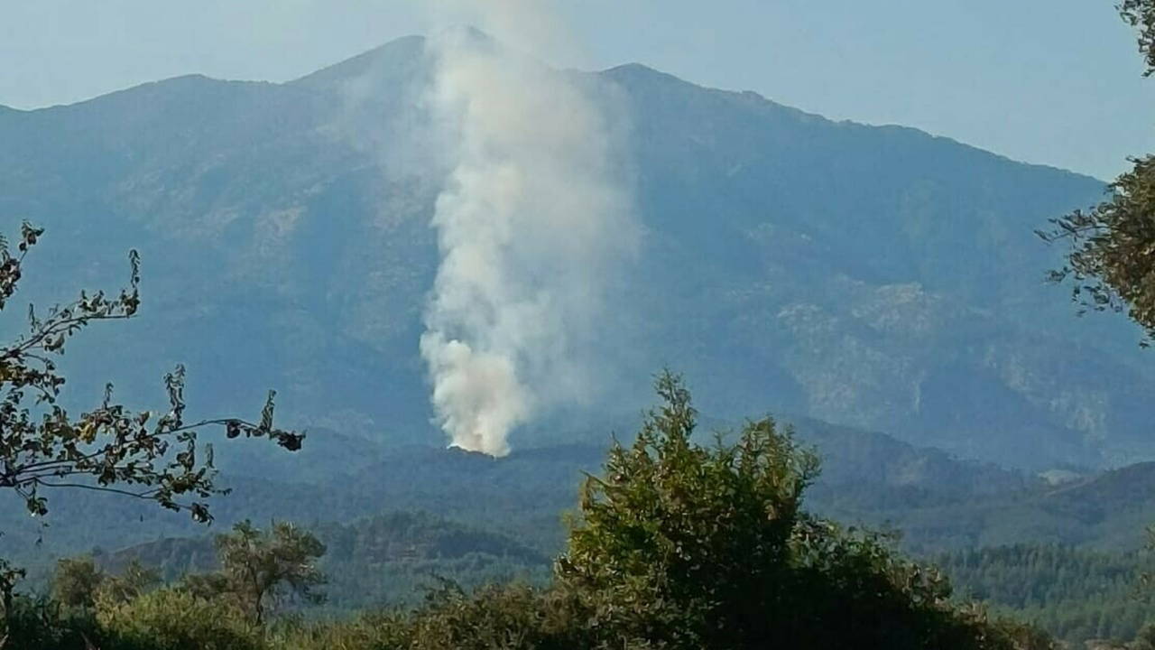 Muğla Seydikemer’de orman yangını