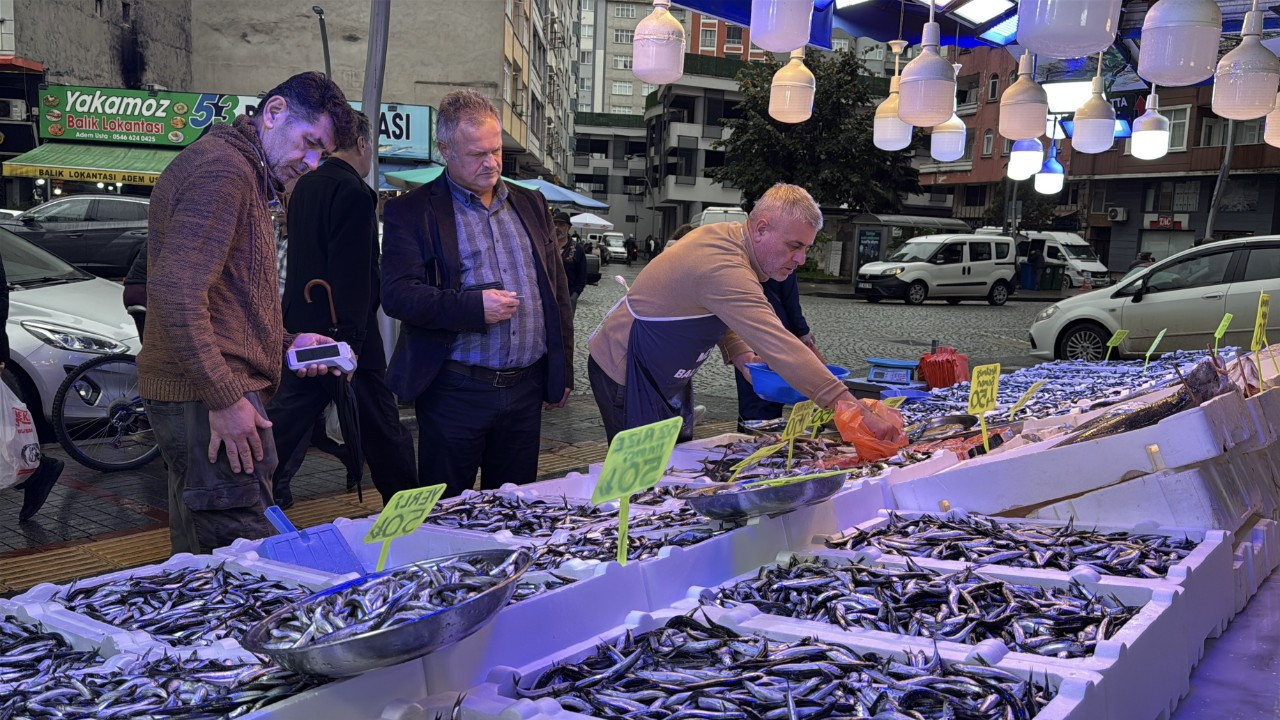 Rize’de hamsi bolluğu: Tezgahlarda 50 liraya satışta