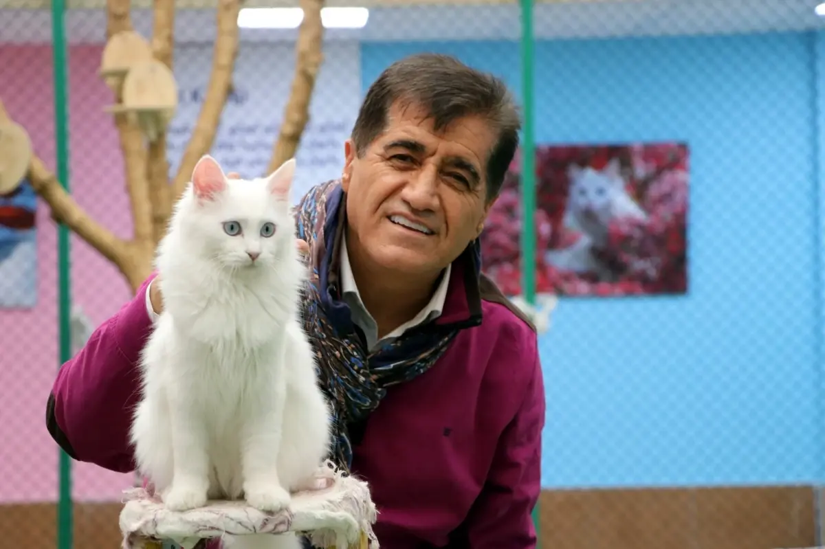 sanatci aydin aydin nesli tukenmekte olan van kedisiyle duet yapti vCt6JAnb.jpg