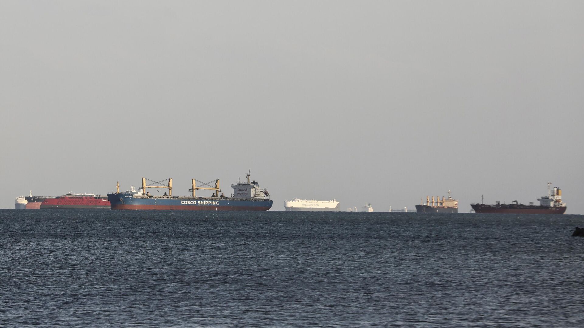 suveys kanali yeniden canlandi gelirler yuzde 14 artti 83rDEkL6.jpg