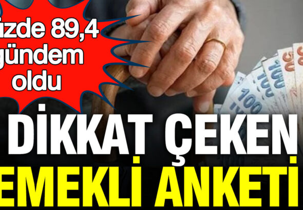 emekli-anketi-forum-enstitusunden-yuzde-894-gundem-oldu-lvfAQBVf