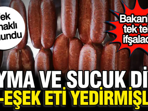 Bakanlik 3 firma acikladi sucuk ve kiyma diye at esek eti yedirmisler WjAYszLr