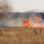 Karamanda otluk alanda yangin panigi alevler ruzgarla bir anda buyudu SuBJMMrZ