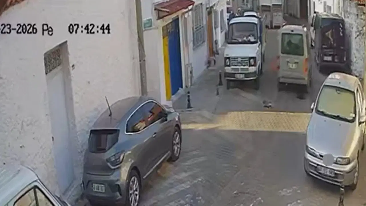 Muglada korkunc goruntuler iki sokak kedisini ezdi arkasina bile bakmadan uzaklasti qsvXPO1y